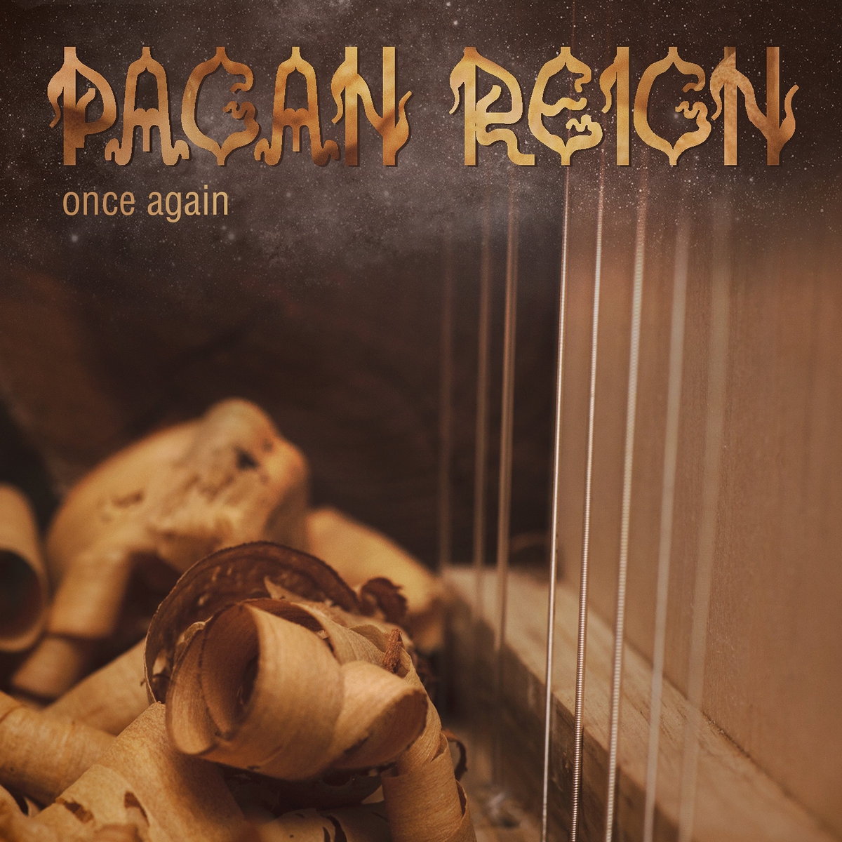 Pagan Reign - Once Again